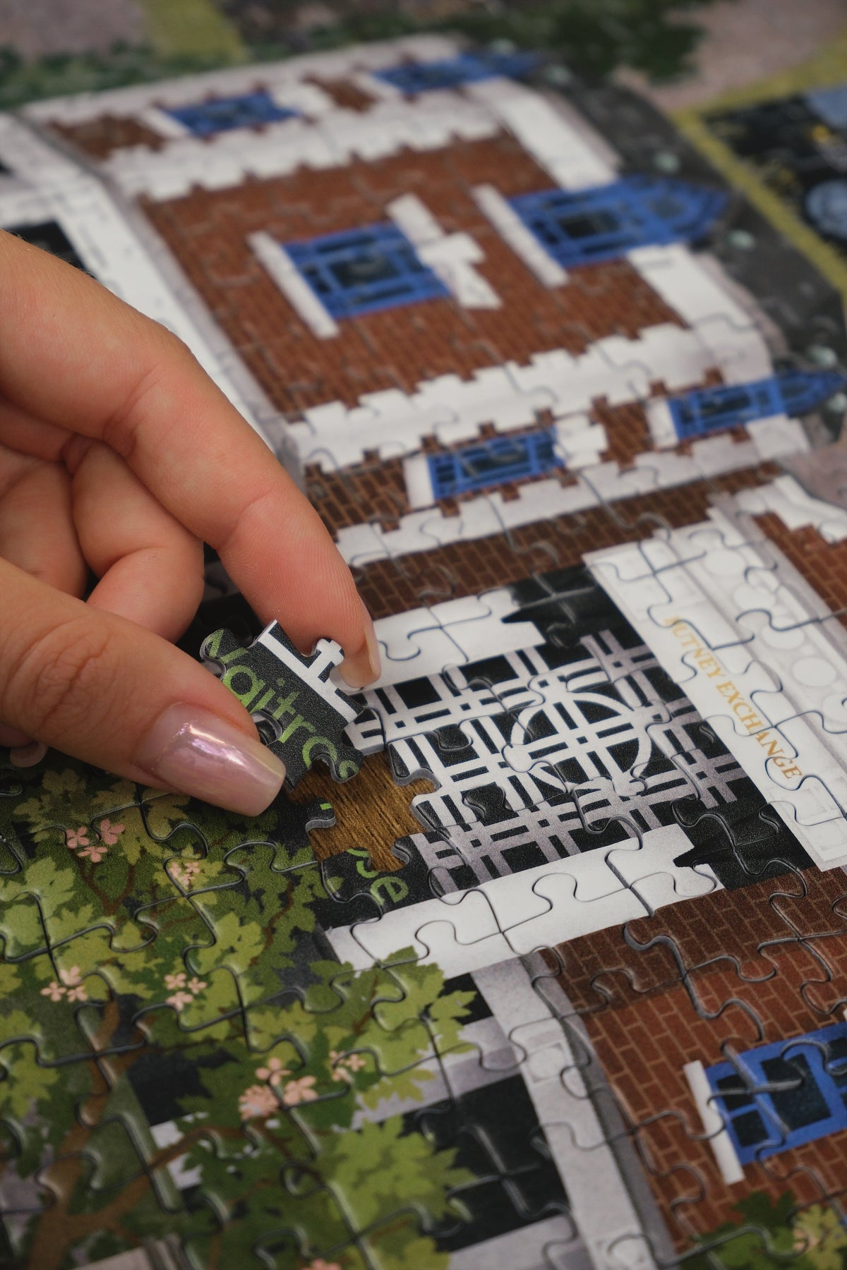 Putney: 1000 pieces jigsaw puzzle