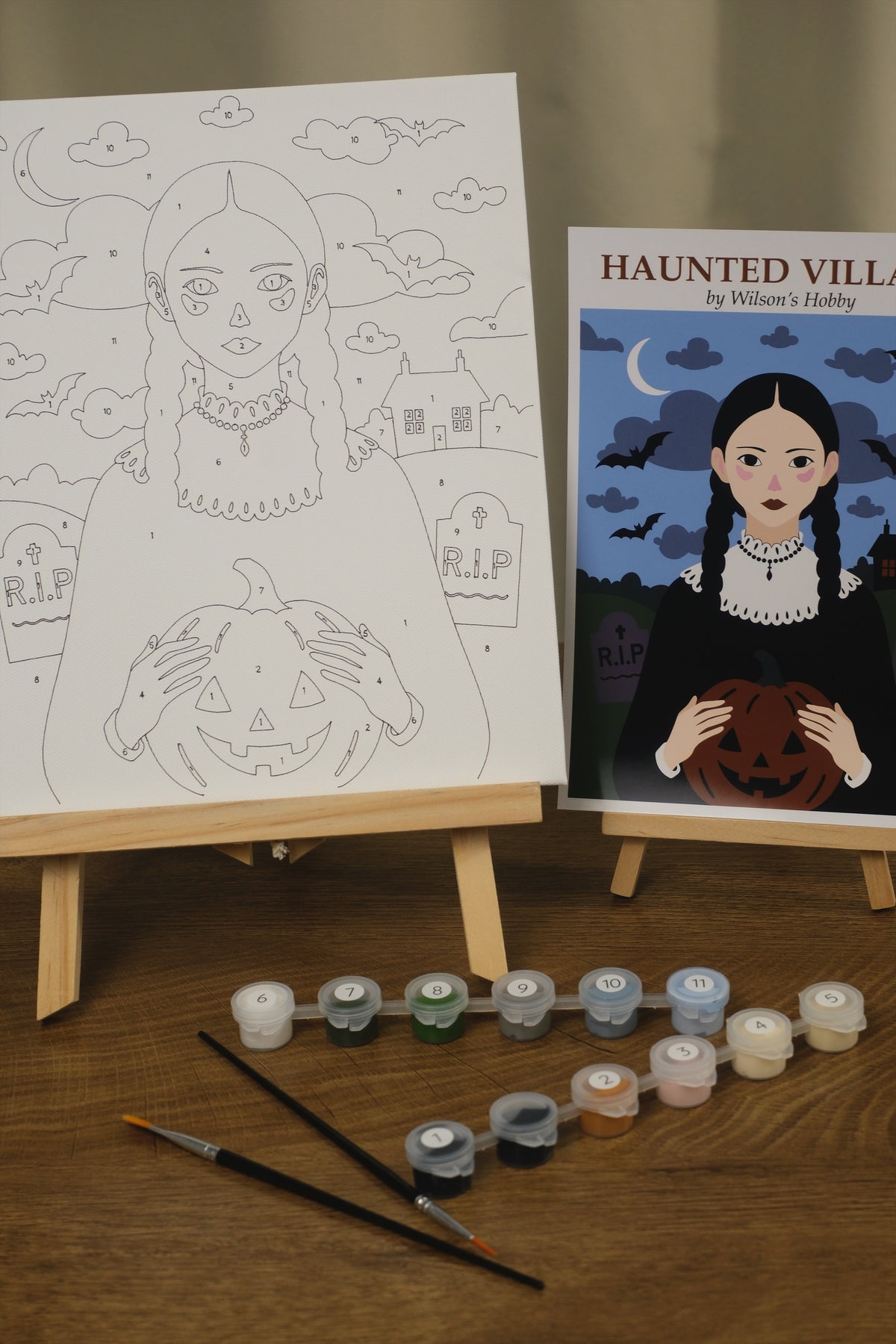 Haunted Village: paint by numbers kit